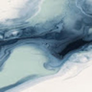 Meet your Posher, Ally